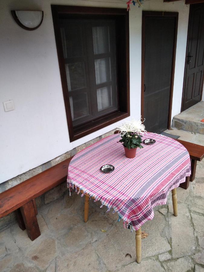 Razsukanova House , Разсукановата Къща Elena Exterior foto